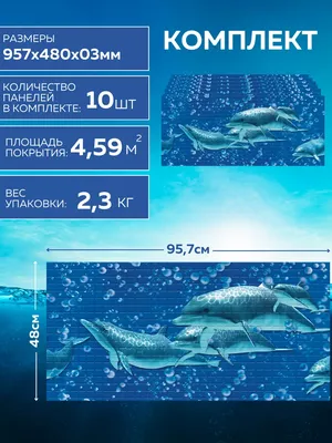 Фото с дельфинами на фоне плитки в ванной