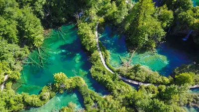 Оазис спокойствия на фотографиях Плитвицких озер