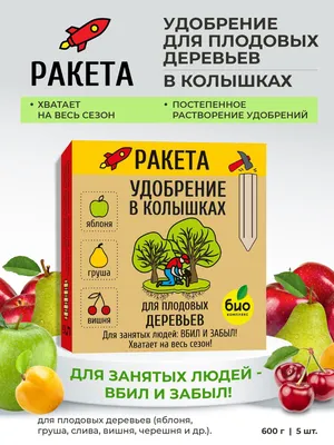 Картинки плодов деревьев: создайте уютную атмосферу на рабочем столе