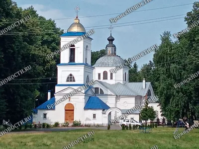 Фото Площанской пустыни для скачивания