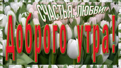 Фотография с уникальной перспективой