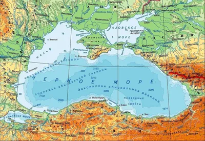 Фотографии птиц на Побережье Азовского моря: волшебный мир природы