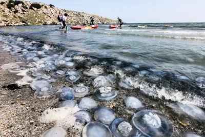 Прекрасное Побережье Азовского моря: встреча с бескрайним голубым горизонтом