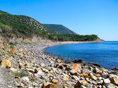 Побережье черного моря фотографии