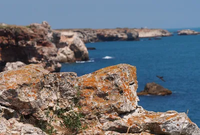 Красочный фон с видом на Побережье черного моря