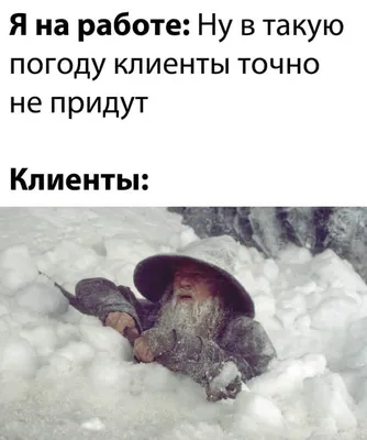 Сборник смешных изображений