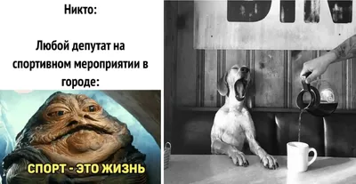 Фотографии, которые вызовут хохот