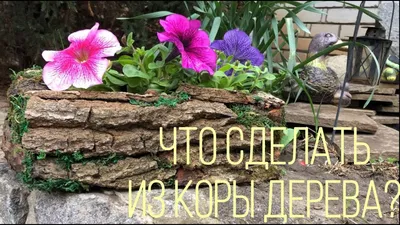 Поделки из коры дерева: идеи для самых маленьких (с фото)