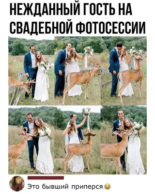 13) Свежие смешные изображения для подготовки к свадьбе: выберите формат (JPG, PNG, WebP)