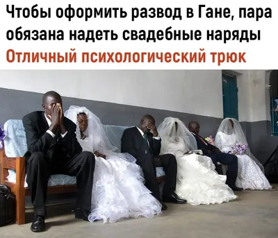 5) Смешные фото для свадьбы: скачать бесплатно в новом формате