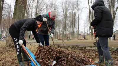 Скрытые места: фото подорлика в его естественной среде обитания