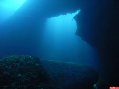 Уникальные фотографии подводных чудес.