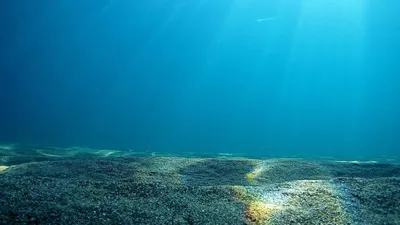 Страна водных чудес: Фотографии подводных пейзажей.