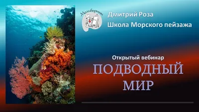 Уникальные фотографии подводных рисунков под водой