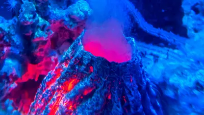 Подводные вулканы в PNG формате: скачать бесплатно