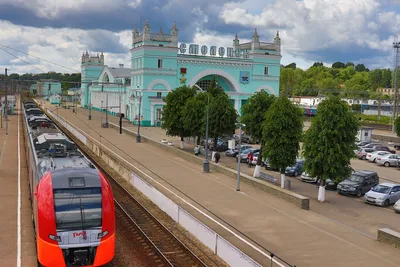 Выберите свой формат: Ласточка в PNG и WebP