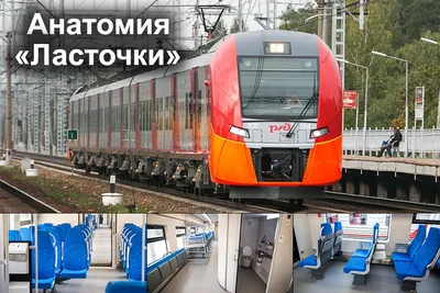 Снимки на маршруте: Ласточка Москва-Смоленск в PNG