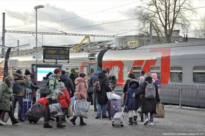 Путешествие на поезде Москва-Таллин: Загадочная красота на рельсах