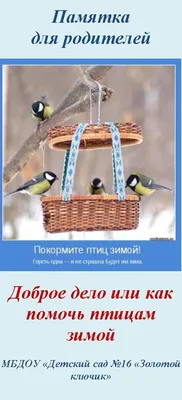 Покормите птиц зимой: изображение скворцов на ветке