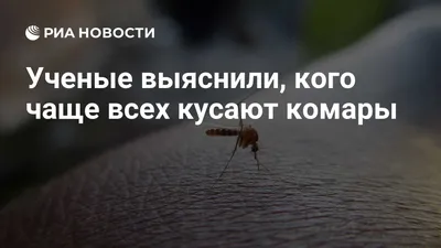 Покусали комары: фото с моментами покусывания запечатлены