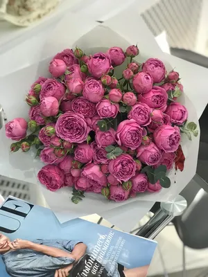 Розы-красавицы - выбор формата и размера