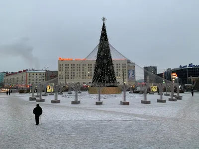 Фотографии, показывающие величие Полярной ночи