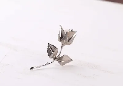 Фотогеничная роза: прекрасная полярная роза на фото