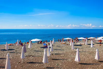 Фотки полных женщин на пляже в формате 4K