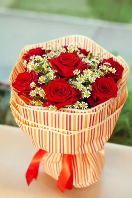 Фотография полосатых роз в разных размерах и форматах: jpg, png, webp