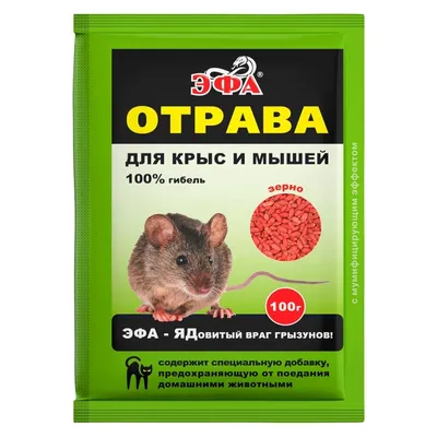 Фотография Помет крысы в высоком разрешении, доступная для загрузки в формате WebP для быстрой загрузки страницы.