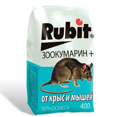 Фотография Помет крысы в высоком разрешении, готовая для загрузки в формате WebP с минимальными потерями качества.