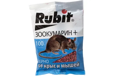 Фото Помет крысы в формате JPG высокого качества, готовое к скачиванию и использованию в любых целях.