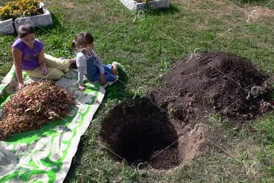 Рисунок деревьев, увенчанных зеленью: искусство природы в HD