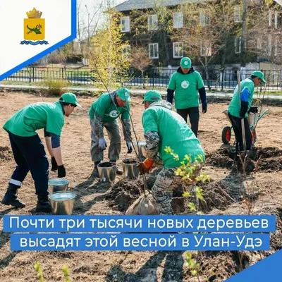 Волшебное воскрешение природы: Как деревья оживают весной 