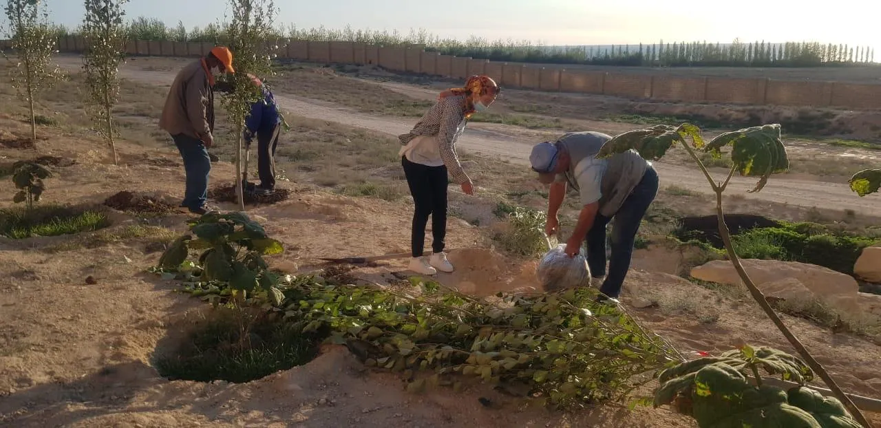 Посадка деревьев фото