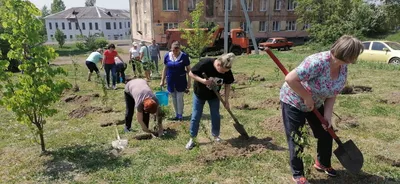 Деревья, покоряющие пространство: магия посадки в цифровом мире