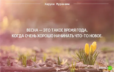 Весенние фотографии: выберите формат для скачивания