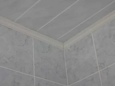 Фото идеи потолочного плинтуса в ванной