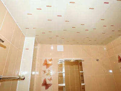 Интерьер ванной с потолочным плинтусом: фото идеи