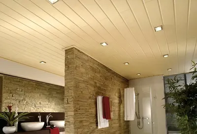 Идеи для потолка в ванной комнате из пластиковых панелей: фото и рекомендации по установке