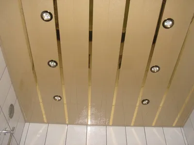Фотография потолка в ванной комнате из пластиковых панелей