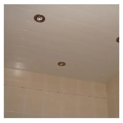 Арт потолка в ванной комнате из пластиковых панелей