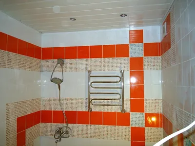 Скачать фото потолка в ванной комнате из пластиковых панелей бесплатно