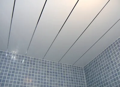 Фото потолка в ванной комнате из пластиковых панелей в формате webp