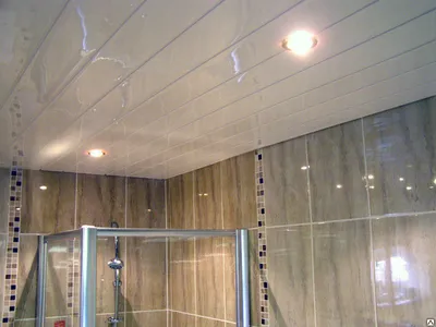Изображение потолка в ванной комнате из пластиковых панелей 2024