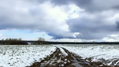 Фото весеннего ручья в формате png