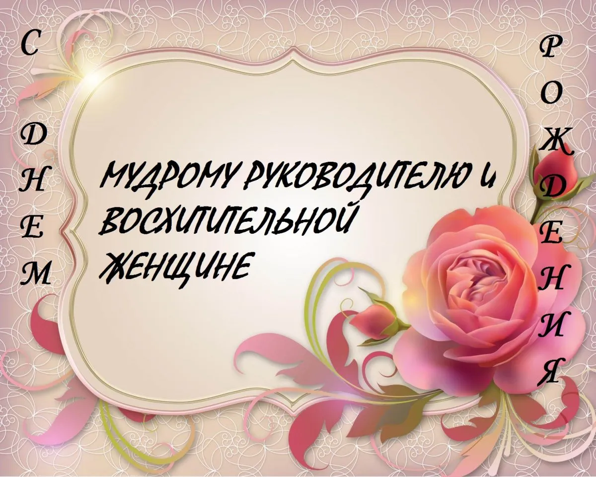 С днем рождения директору прикольные — поздравления, смешные открытки и картинки - Телеграф