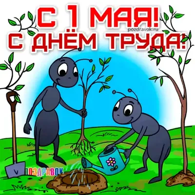 **Веселые открытки с поздравлениями к 1 мая**