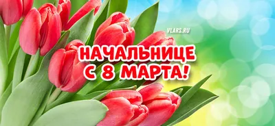 Удивительные фото для поздравления начальницы с 8 марта