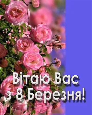 Картинки с поздравлениями 8 марта: выберите изображение и скачайте в хорошем качестве